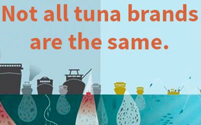 Tuna Sustainability