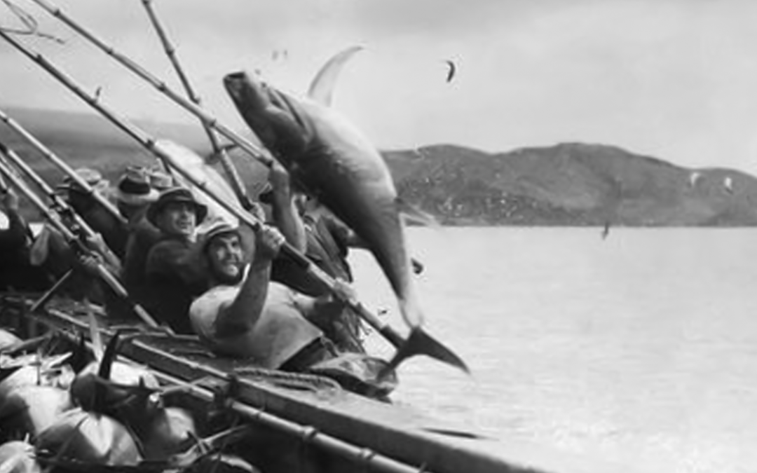 San Diego Tuna Industry History